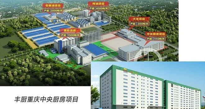 粮油撞天花板,调品味推不动,今年的金龙鱼靠什么?